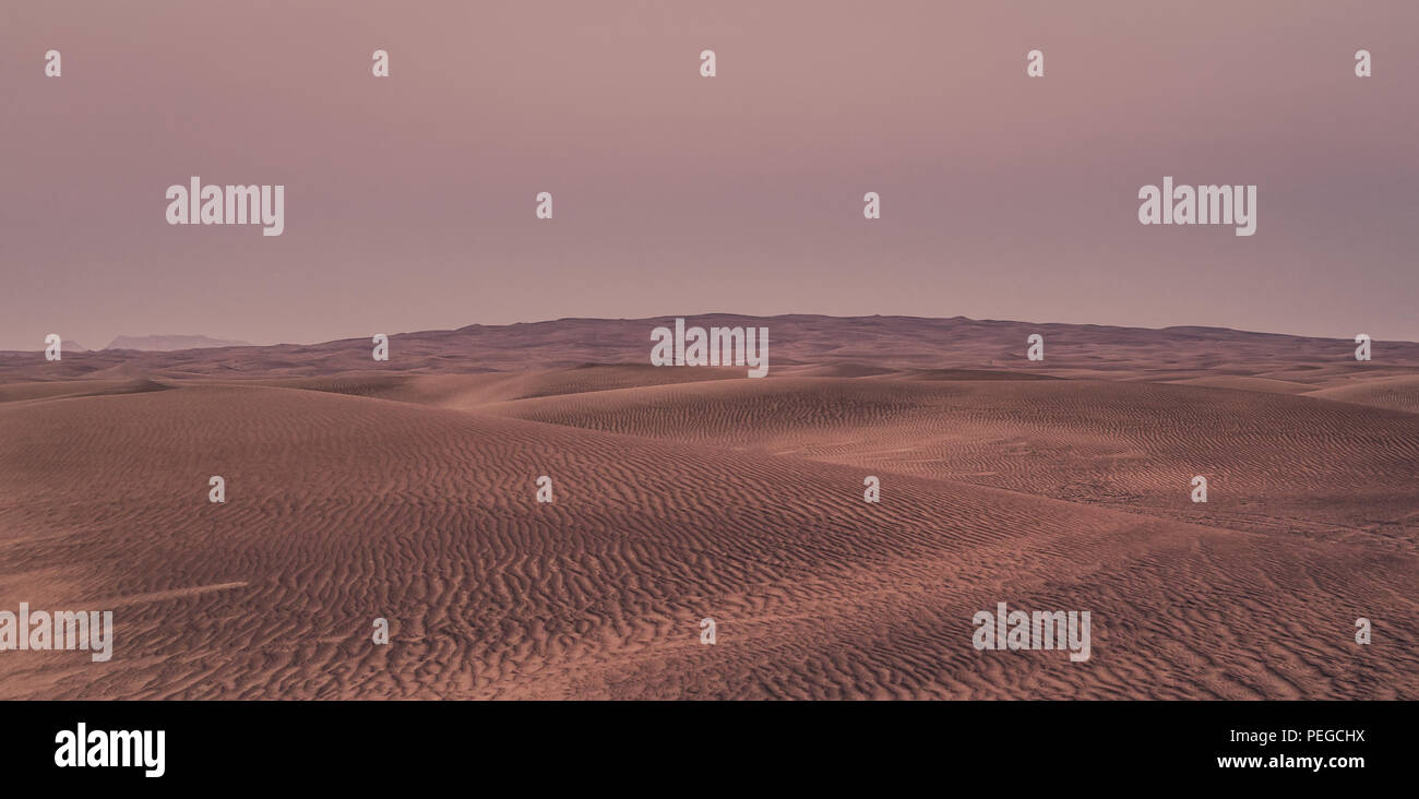 De belles dunes de sable dans le désert. Banque D'Images