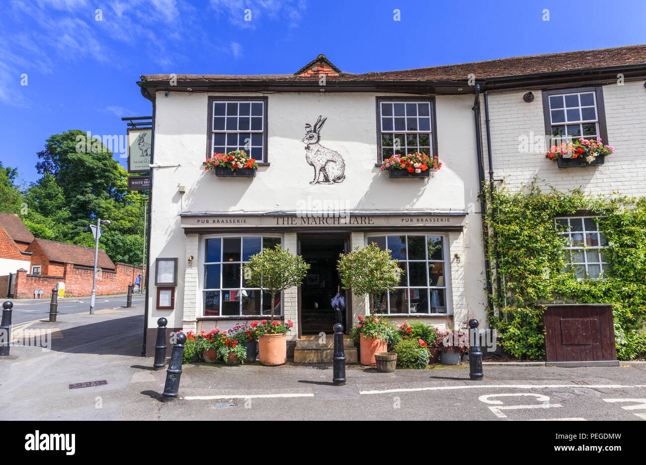 Le Lièvre de mars, une petite brasserie pub blanchis de South Hill, le centre de Guildford, ville du comté de Surrey, au sud-est de l'Angleterre, Royaume Uni sur une journée ensoleillée Banque D'Images