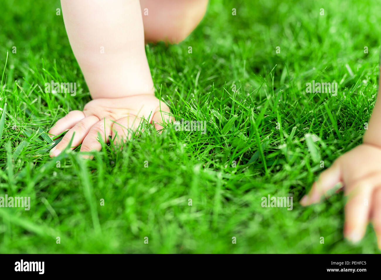 Close Up Bebe Ramper Dans L Herbe Verte Pelouse Plus De Details La Part Walking In Park La Decouverte De L Enfant Et L Exploration De La Nature Et De La Terre Photo Stock