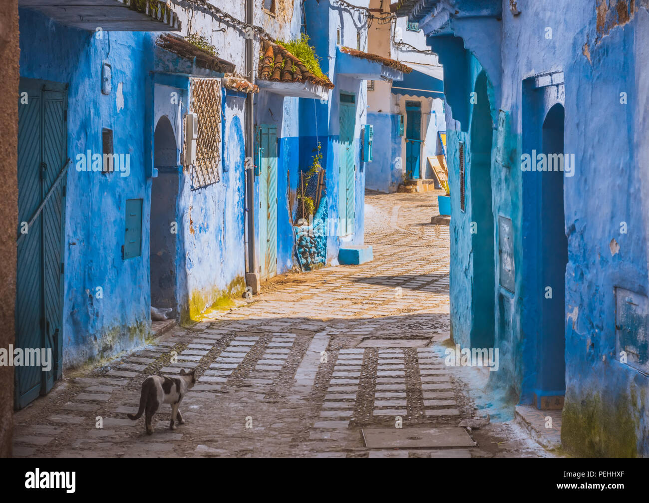 Incroyable vue sur la rue de la ville bleue Chefchaouen. Emplacement : Chefchaouen, Maroc Banque D'Images