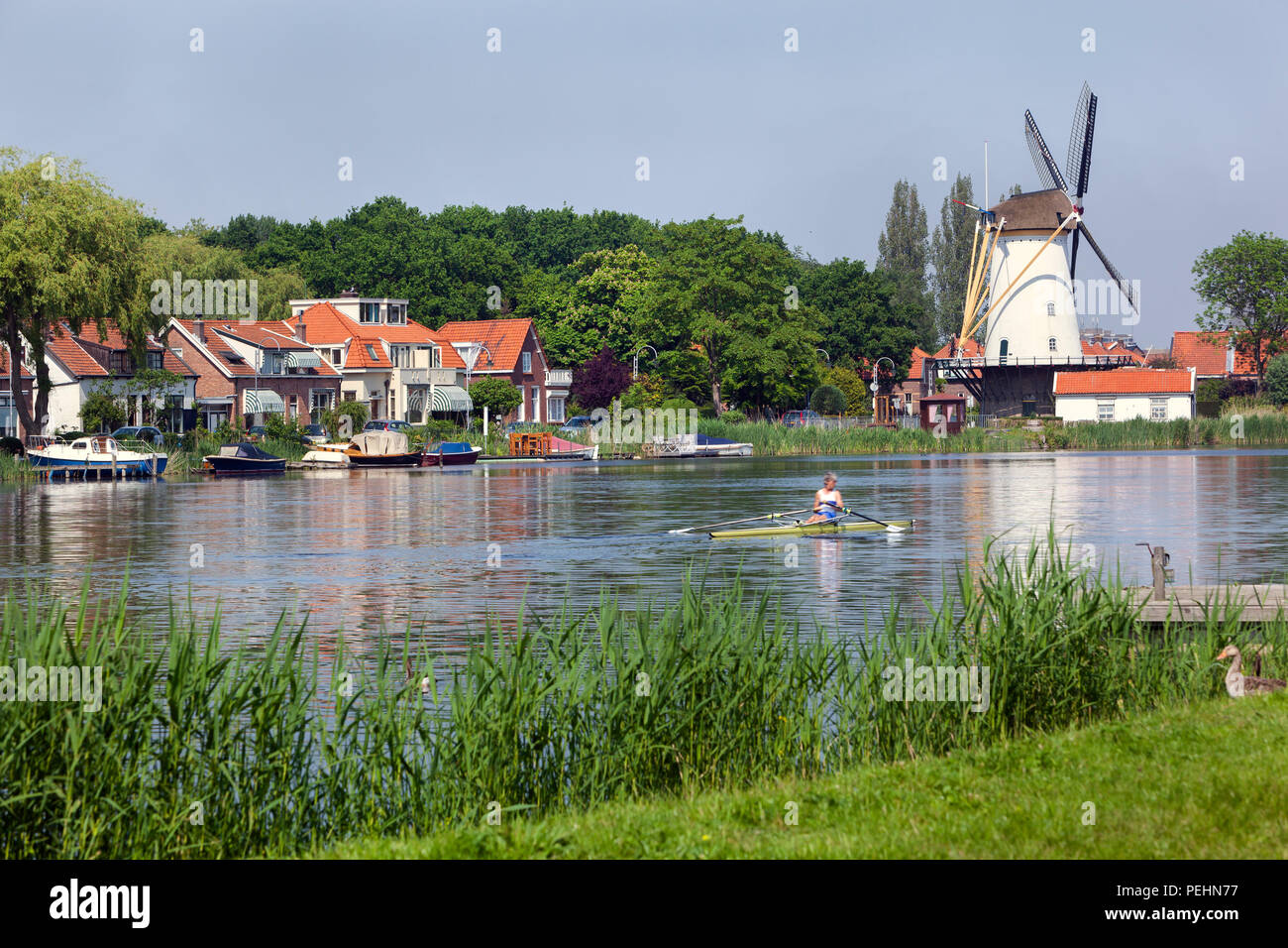 La rivière idyllique Rotte à Rotterdam avec un vieux moulin blanc et quelques maisons à l'autre côté tandis qu'un bateau à rames est passant par Banque D'Images