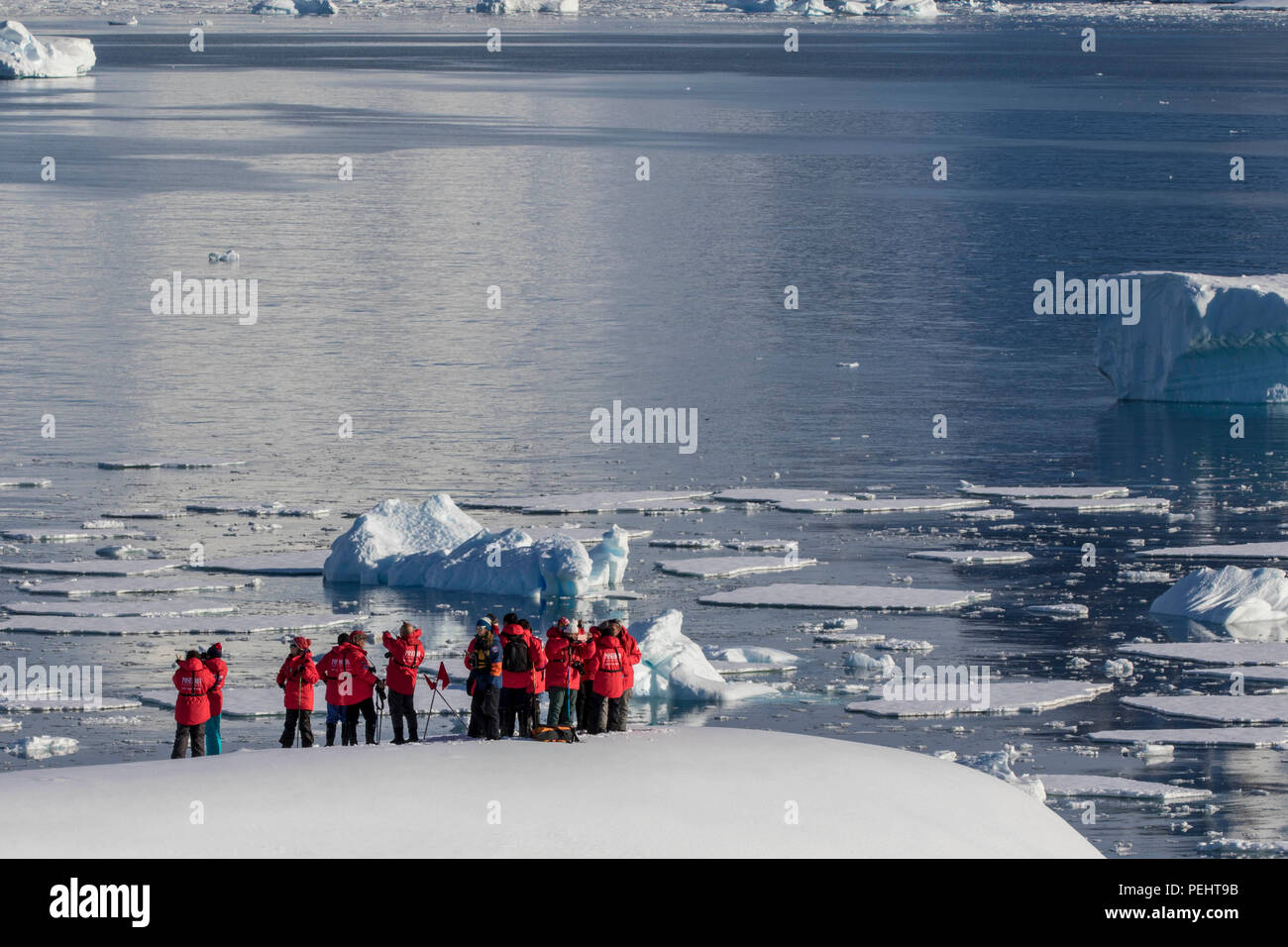Les touristes en Antarctique Banque D'Images