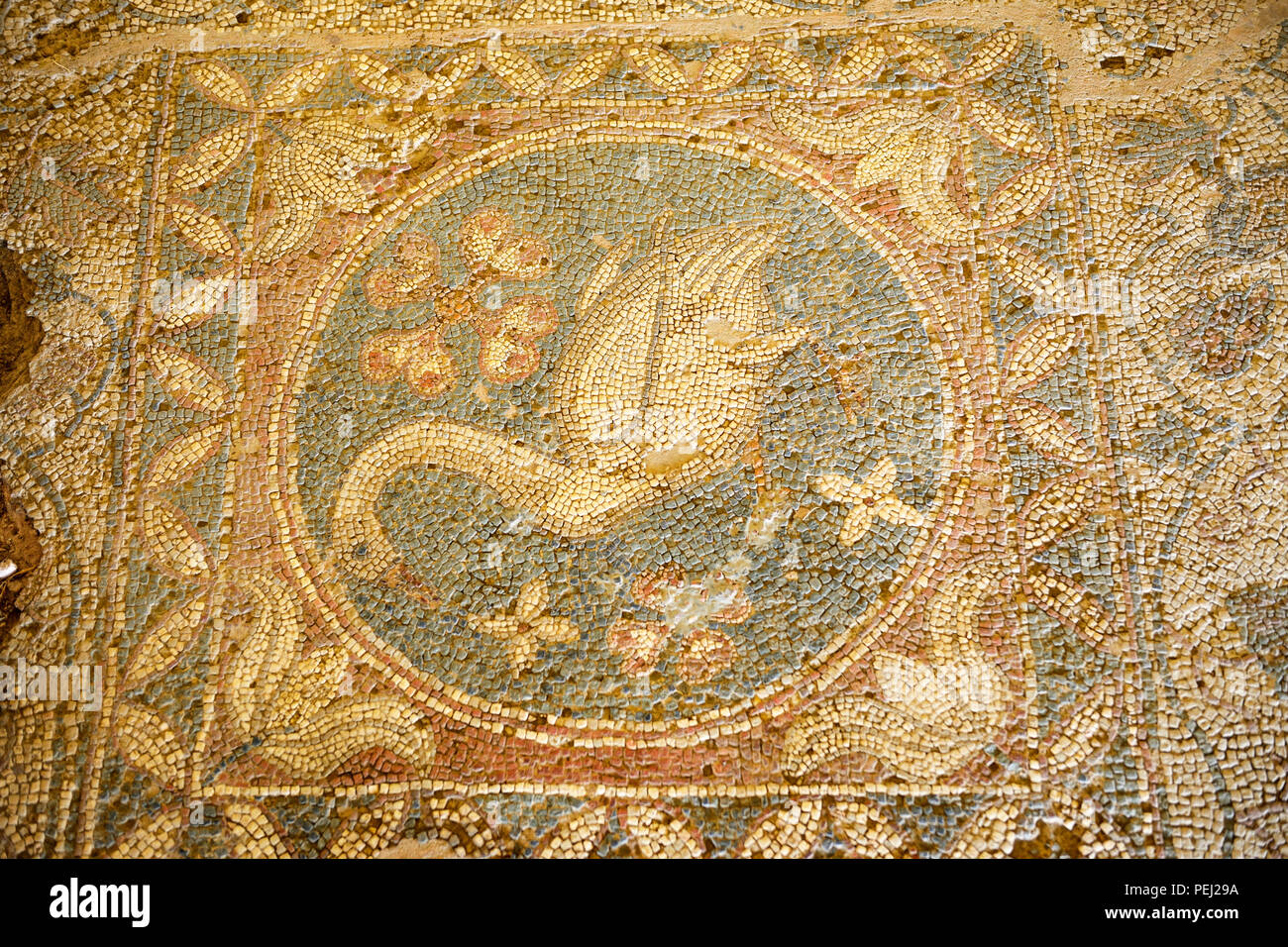 Sol en mosaïque datant du 4ème siècle à la basilique de Soli (Soloi), République turque de Chypre du Nord Banque D'Images