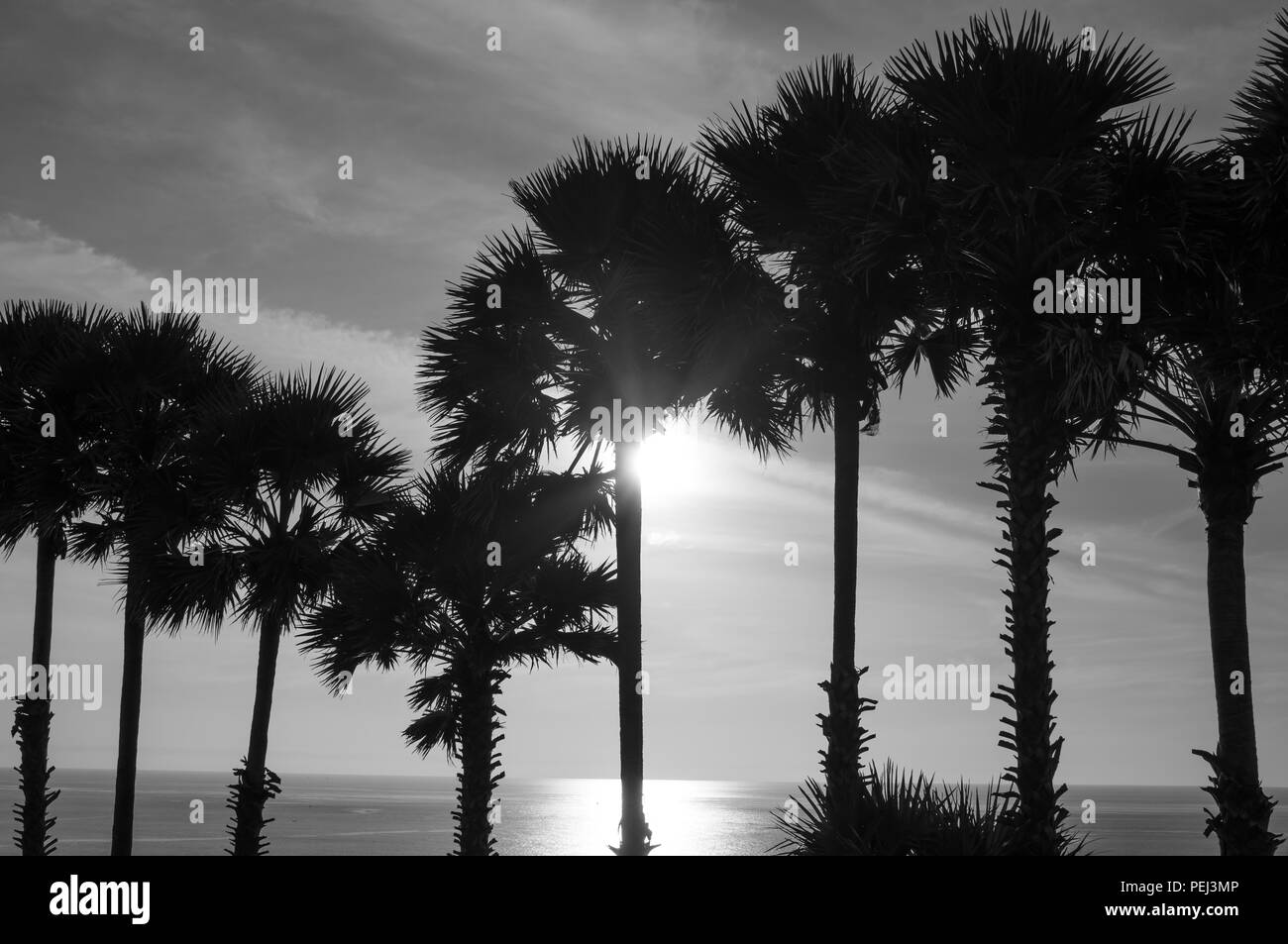 Cap Phromthep est un célèbre sunset view point à Phuket, et un point de randonnée pour les résidents locaux. Il est également un paradis pour le photographe. Banque D'Images