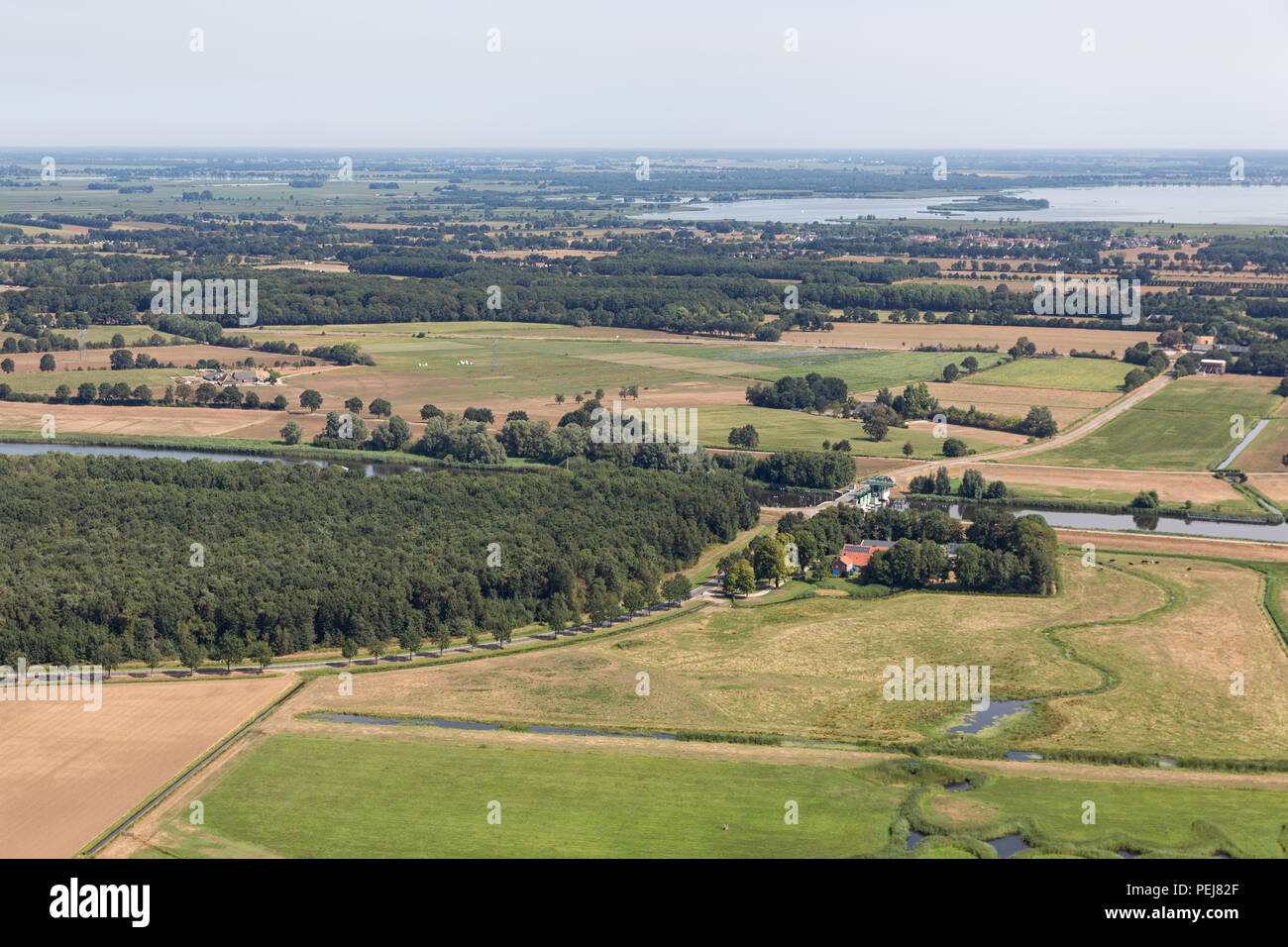 Vue aérienne Noordoostpolder polders néerlandais avec des bois en champs agricoles Banque D'Images