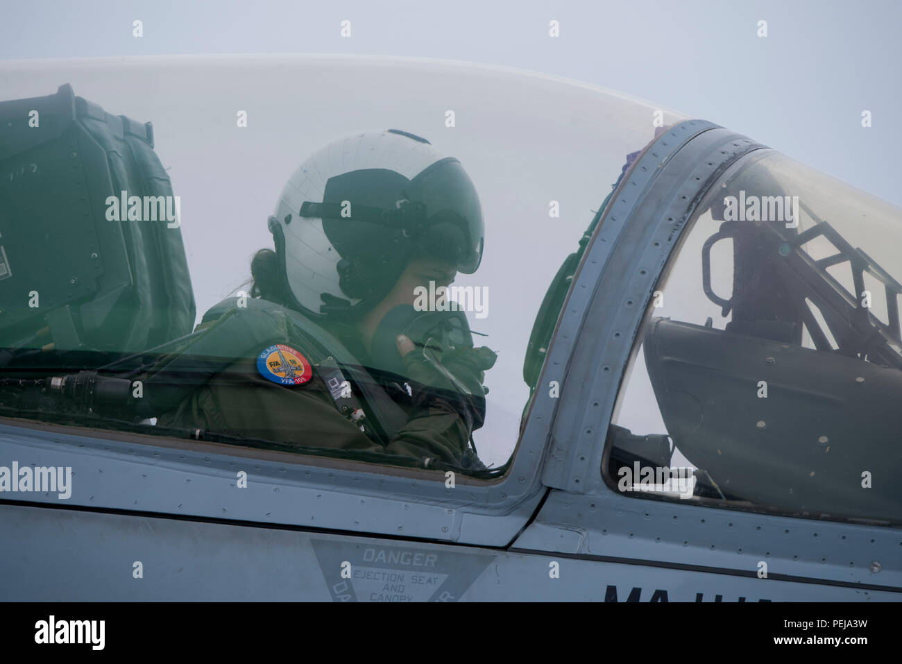 Un pilote de la marine américaine avec Strike Fighter Squadron 106 effectue une vérification finale avant le décollage le 2 décembre 2015, à Mountain Home Air Force Base, Texas. (U.S. Photo de l'Armée de l'air par la Haute Airman Jeremy L. Mosier/libérés) Banque D'Images