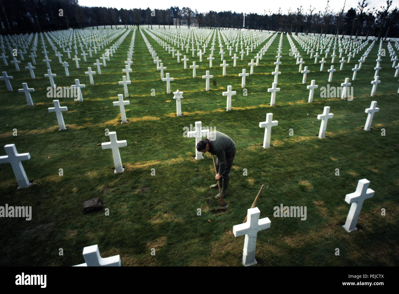 La PREMIÈRE GUERRE MONDIALE Oise-Aisne Cimetière Américain. 1985 L'Oise-Aisne American Cemetery and Memorial est un cimetière militaire américain dans le nord de la France. Trace un cadre d contient les tombes de 6 012 soldats américains qui sont morts en combattant dans cette région au cours de la Première Guerre mondiale, 597 n'étaient pas identifiés, ainsi qu'un monument de 241 Américains qui ont été portés disparus au cours de batailles dans la même région et dont les restes n'ont jamais été retrouvés. L'Oise-Aisne American Cemetery and Memorial se trouve à un mille et demi à l'est de Fère-en-tardenois, Aisne, Picardie, France et à environ 14 miles (23 km) au nord-est de C Banque D'Images