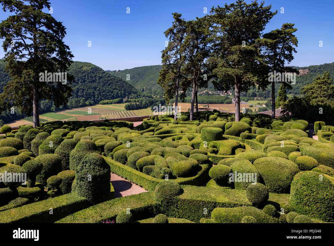 Topiary dans les jardins de l'hôtel Jardins de Marqueyssac dans la région de la Dordogne. Banque D'Images