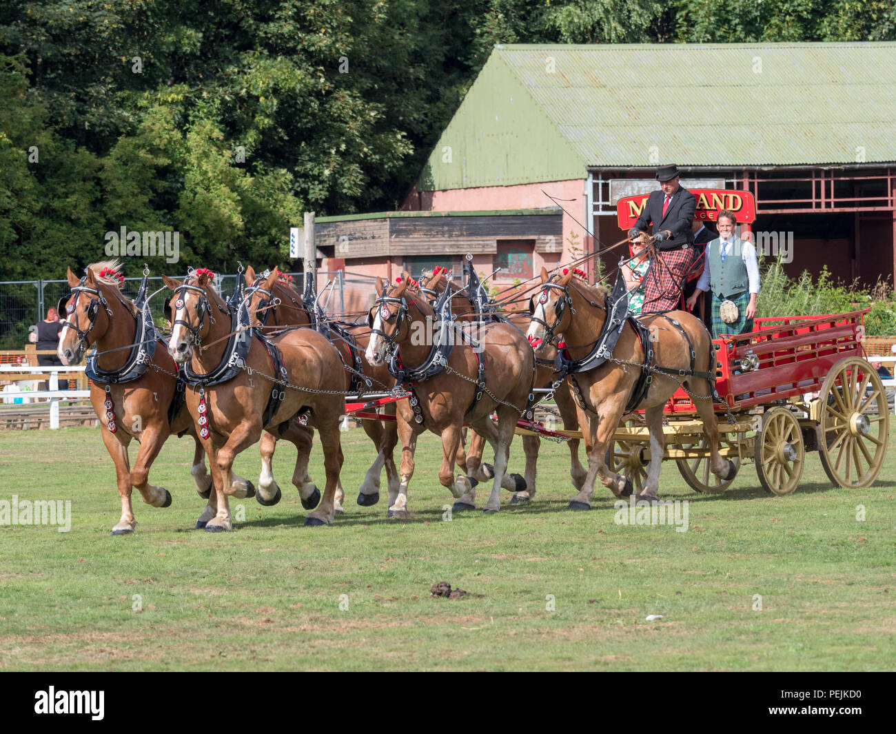 Turriff, Ecosse - Aug 06, 2018 : Affichage des chevaux et les wagons pendant la cheval lourd de participation à l'Exposition agricole Turriff en Ecosse. Banque D'Images