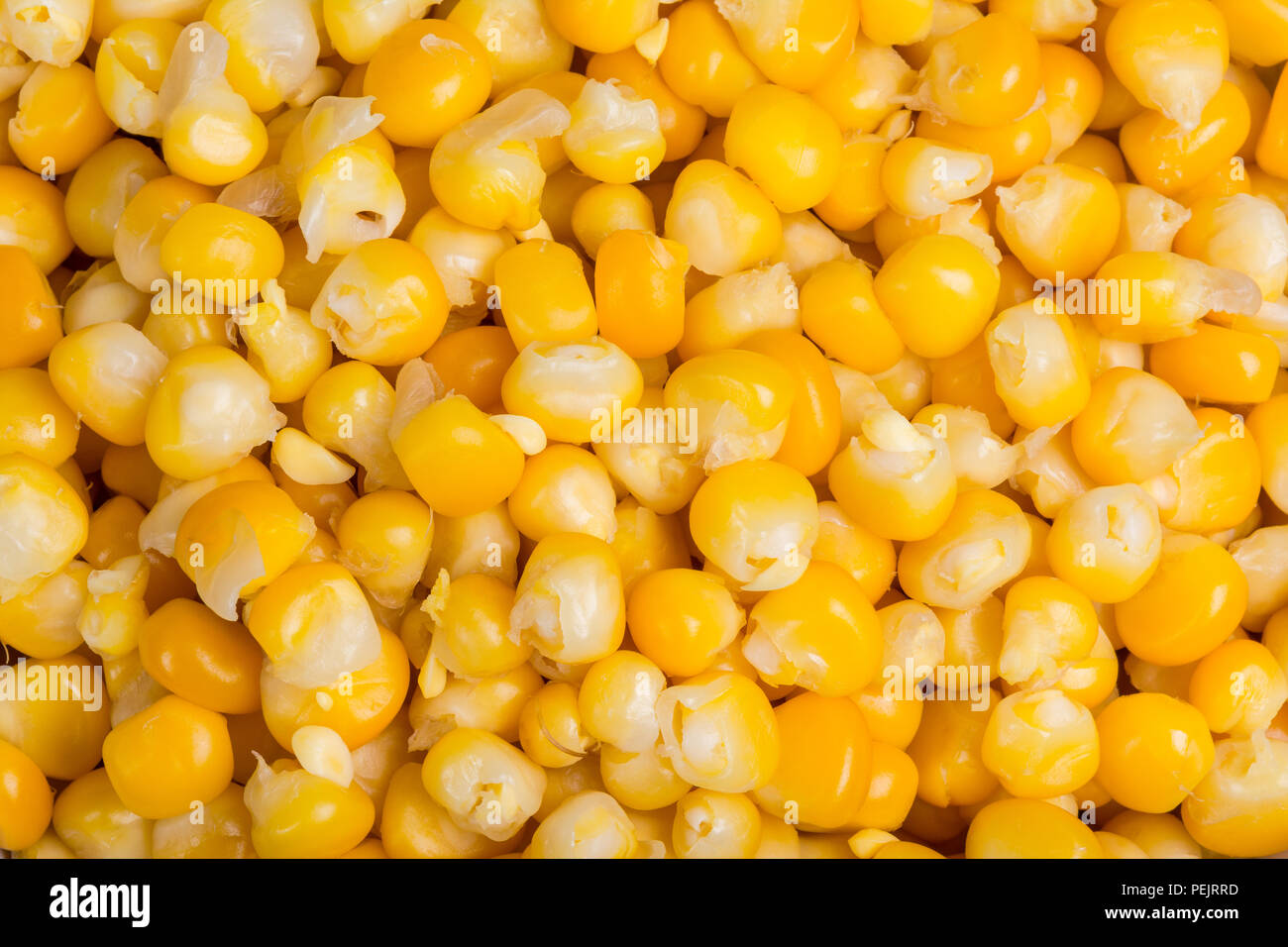 Arrière-plan de cuisine grains de maïs bouilli. Close-up d'un beau jaune tas de graines de maïs doux. De délicieux légumes de culture biologique. L'alimentation végétarienne saine. Banque D'Images