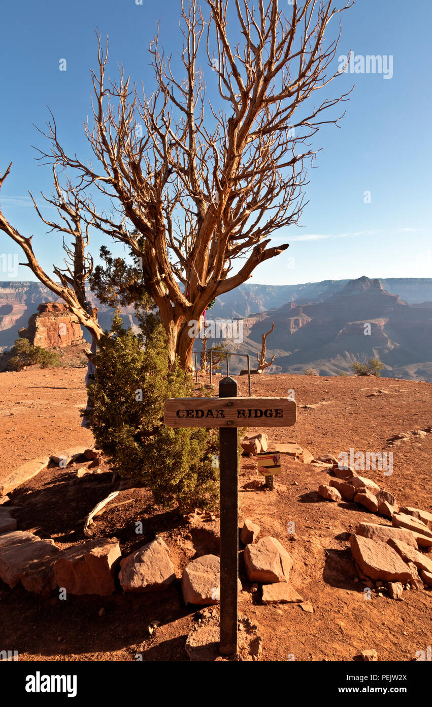 AZ00281-00...ARIZONA -Lone Ridge, un populaire reste arrêter et tourner autour de point le long de la South Kaibab Trail dans le Parc National du Grand Canyon. Banque D'Images