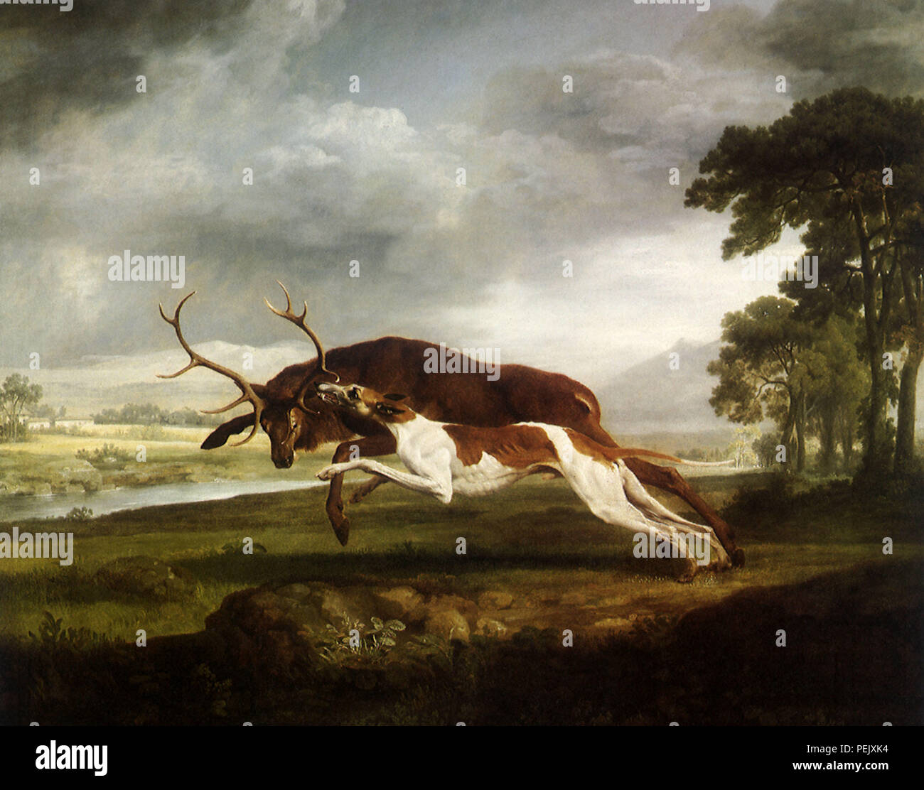 Hound coulant un cerf, Stubbs, George Banque D'Images