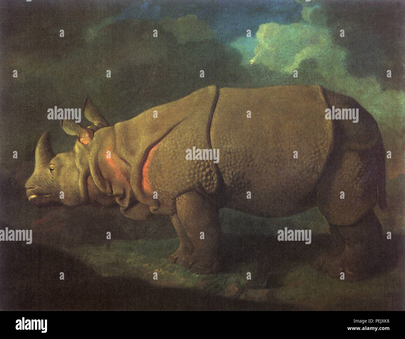 Rhinocéros, Stubbs, George Banque D'Images