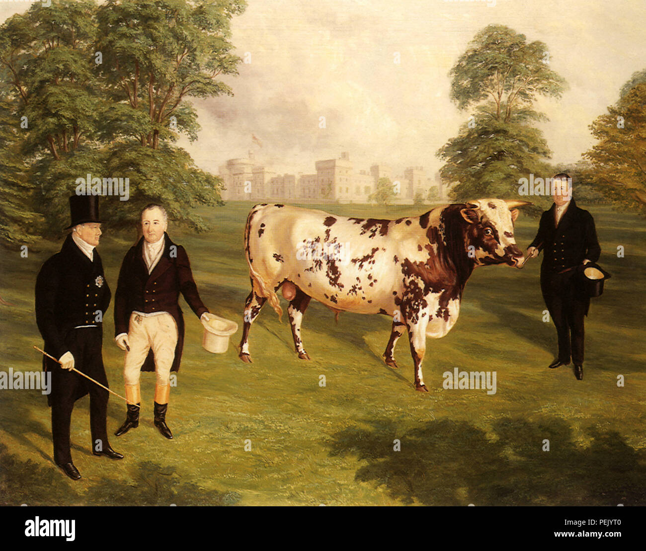 Bull présenté au Roi, Carter, J.H. Banque D'Images