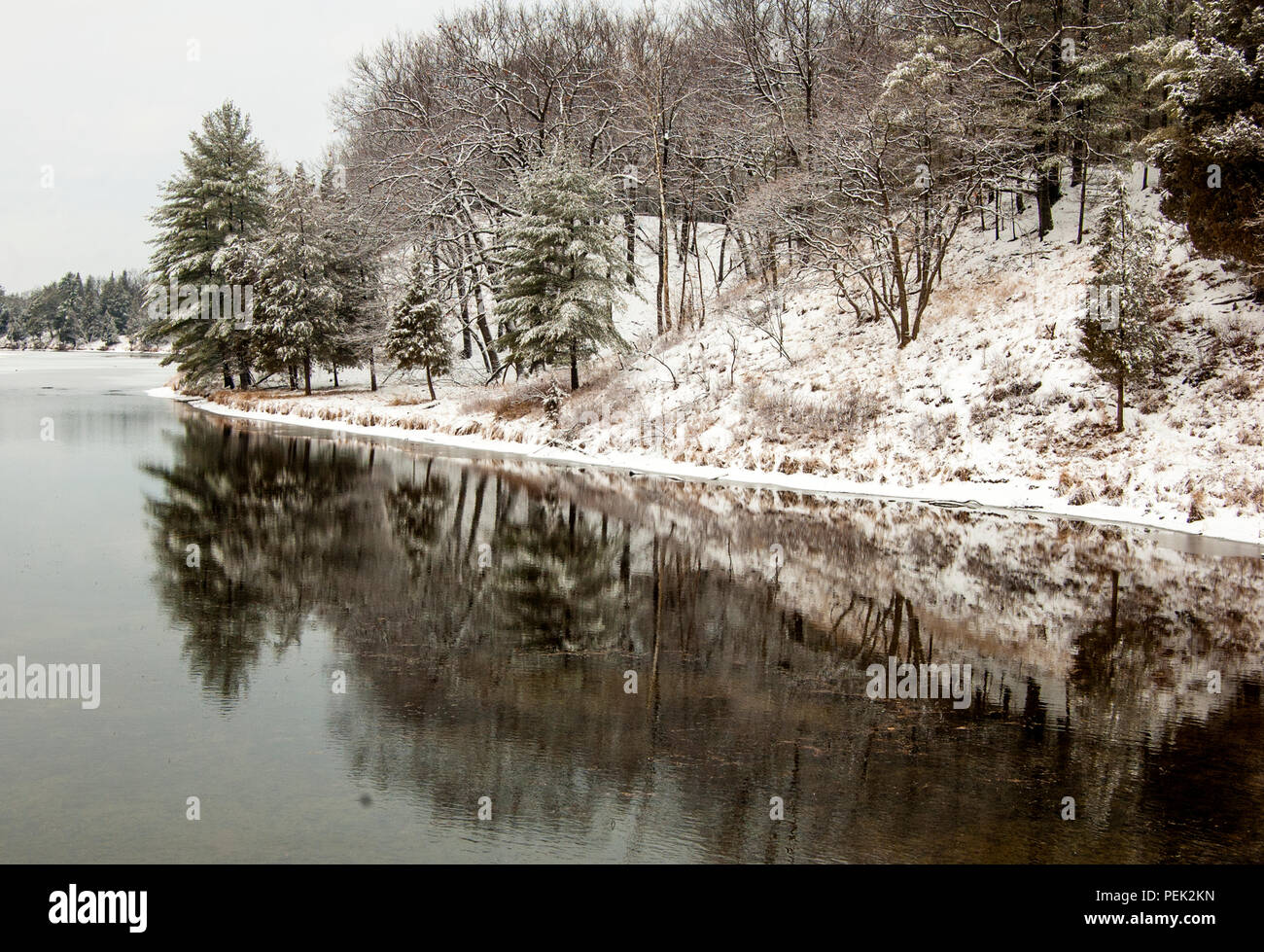 Scène d'hiver du sud de l'Ontario Canada dans les Pins Park près de Grand Bend. Banque D'Images