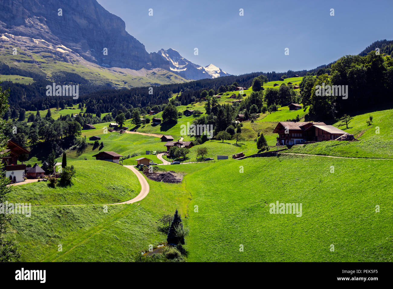 Panorama de la scène avec chalets alpin pittoresque et dynamique de vertes prairies près de Grindelwald dans la région de Jungfrau, Suisse Banque D'Images