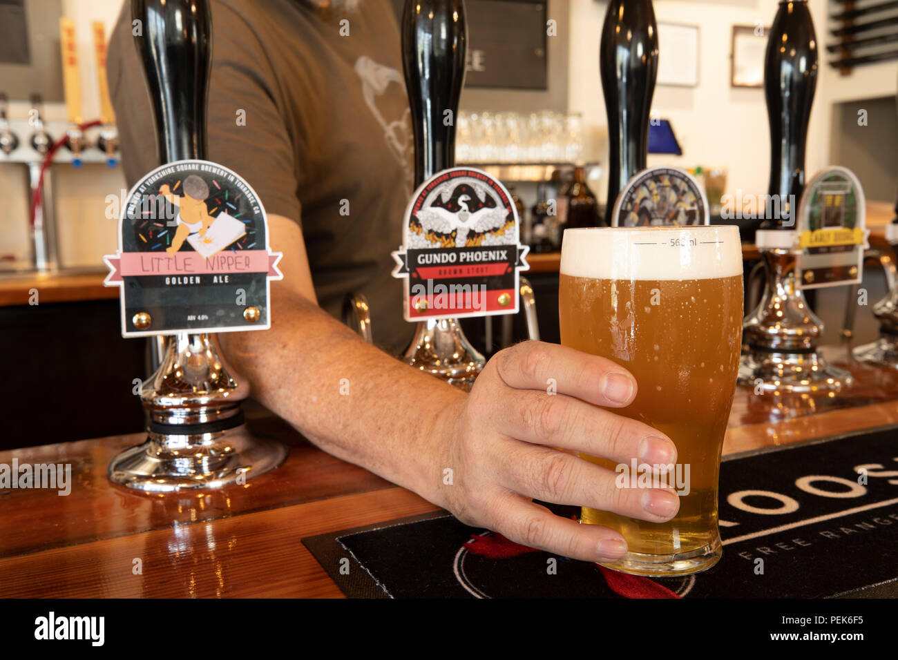 Une pinte de bière à la brasserie la place du Yorkshire Banque D'Images