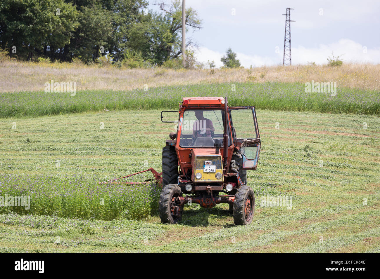 La fenaison agriculteur un champ d'herbe à la colline dans près de Stremsti Kardzhali, province, la Bulgarie, de l'agriculture Banque D'Images