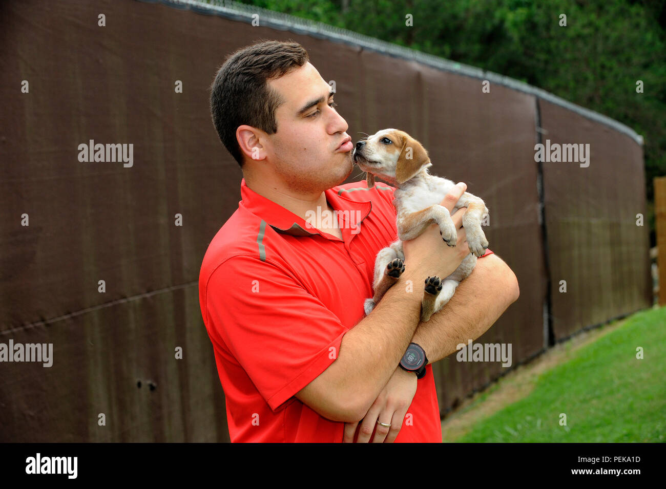 Un jeune chiot, en voie d'adoption, est consolé par un membre du personnel d'un refuge local pour animaux à Gainesville, Géorgie © Billy Grimes/Alamy.com Banque D'Images