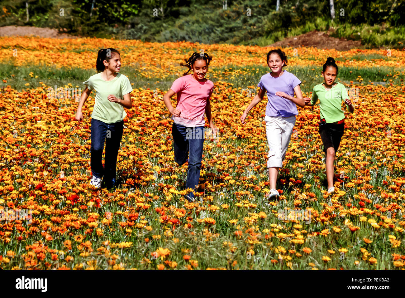Tween raciale multi heureux garçons et filles préadolescentes heureusement en champ de fleur dans la saison du printemps © Myrleen Pearson ...Ferguson Cate Banque D'Images
