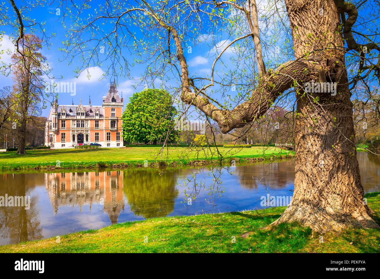 Beau château d'Aertrycke,vue panoramique,Belgique. Banque D'Images