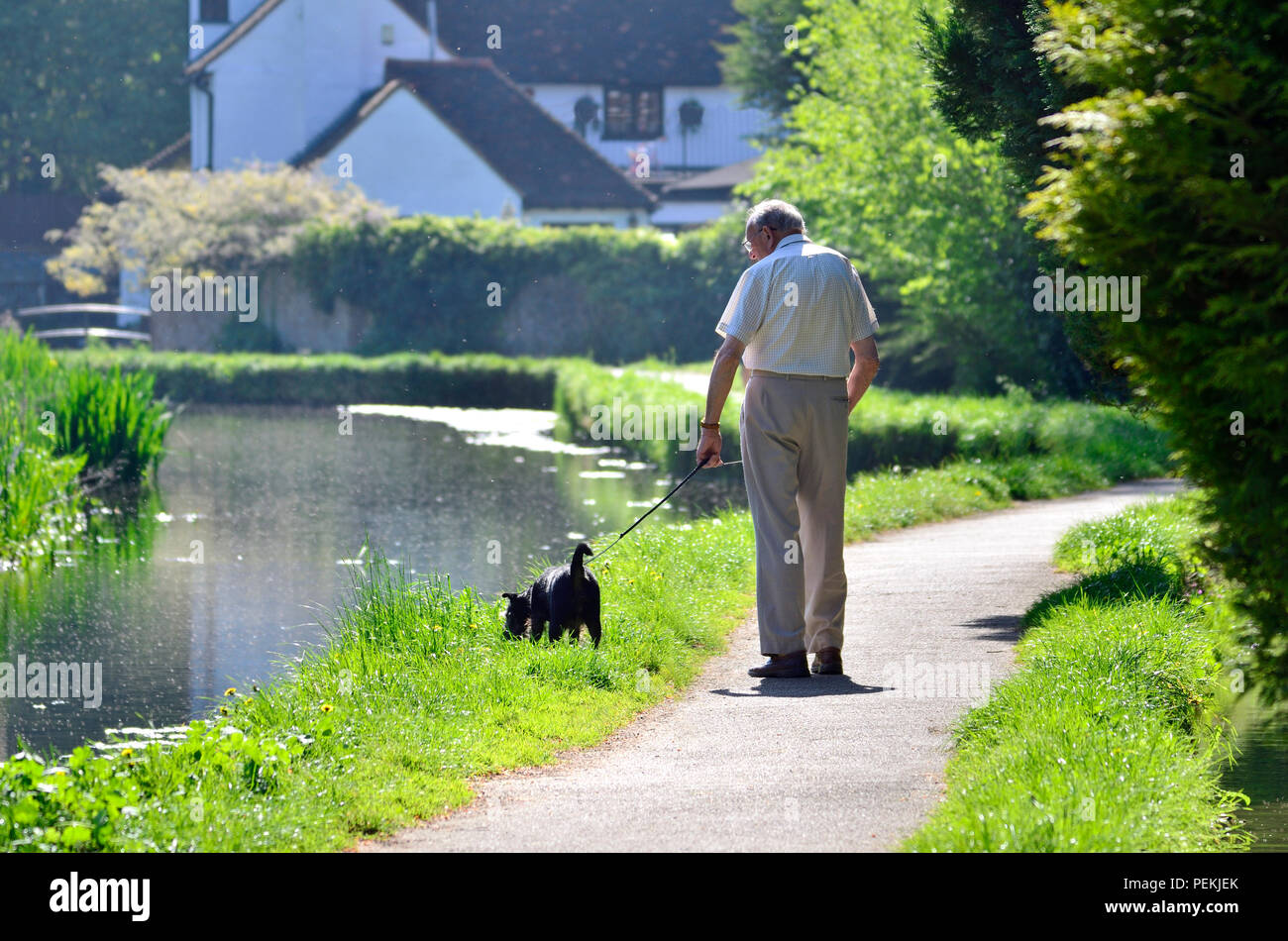 Village lâche, Maidstone, Kent, UK. Vieil homme promenait son chien le long des ruisseaux - cours d'eau à travers le centre du village Banque D'Images