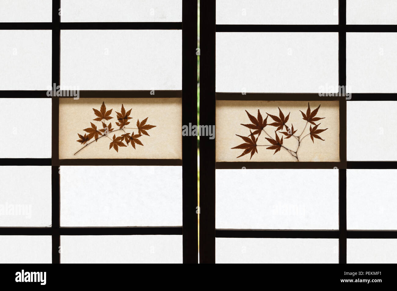 Kyoto, Japon. Funda-temple zen de Tofuku-ji à. Les portes coulissantes en papier traditionnel (shoji) dans la salle de réception, avec les plantes séchées utilisées pour la décoration Banque D'Images