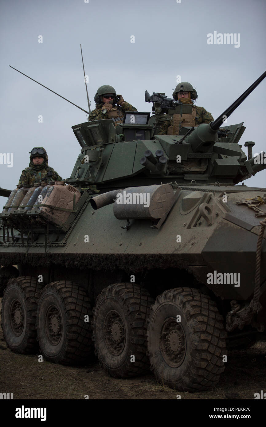 Aux États-Unis, les militaires roumains travaillent ensemble pour améliorer les compétences collectives au cours de Lynx Platinum 16-2 à Galati, Roumanie Zone de formation, 10 décembre 2015. Platine d'exercice 16-2 Lynx est un exercice multinational de l'OTAN visant à renforcer la préparation au combat, de renforcer la sécurité régionale, et de maintenir des relations avec des pays alliés et partenaires des Nations unies. (U.S. Marine Corps photo par Lance Cpl. Melanye E. Martinez/libérés) Banque D'Images