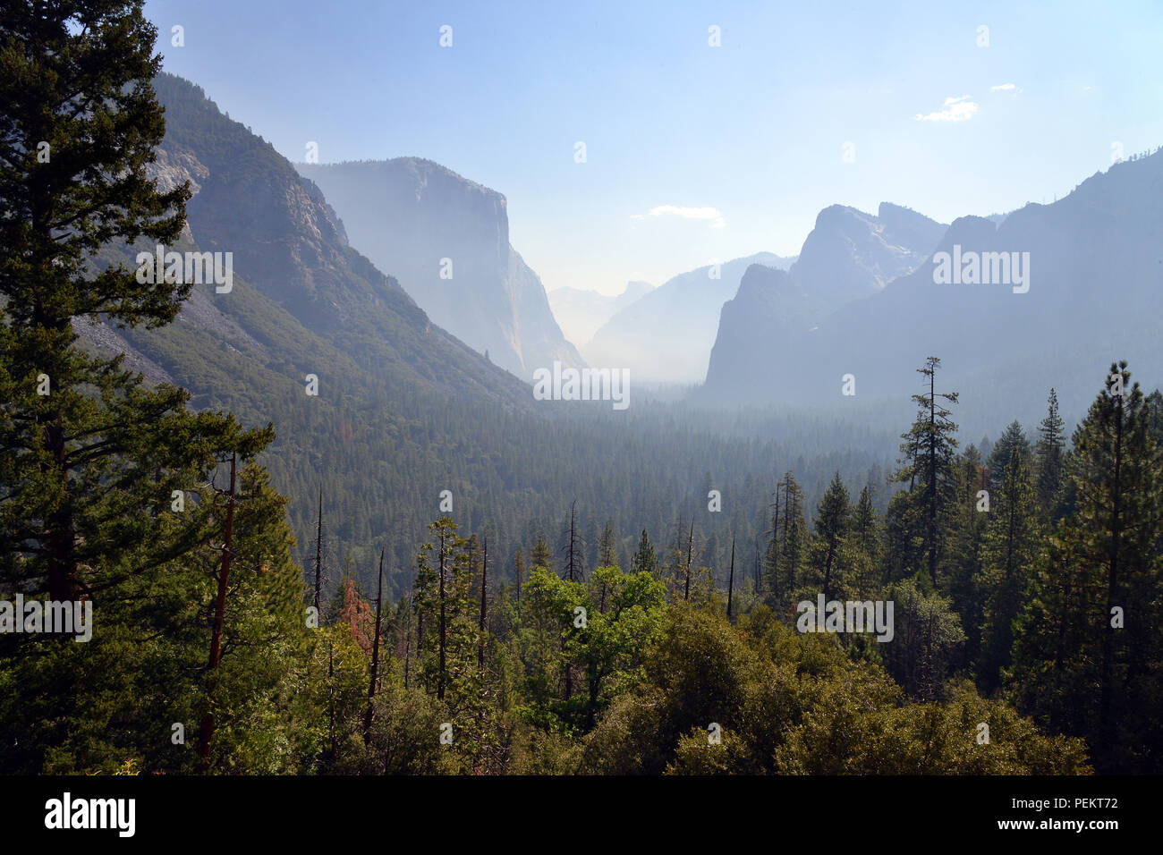 États-unis, Californie, vue de tunnel dans la région de Yosemite National Park Banque D'Images
