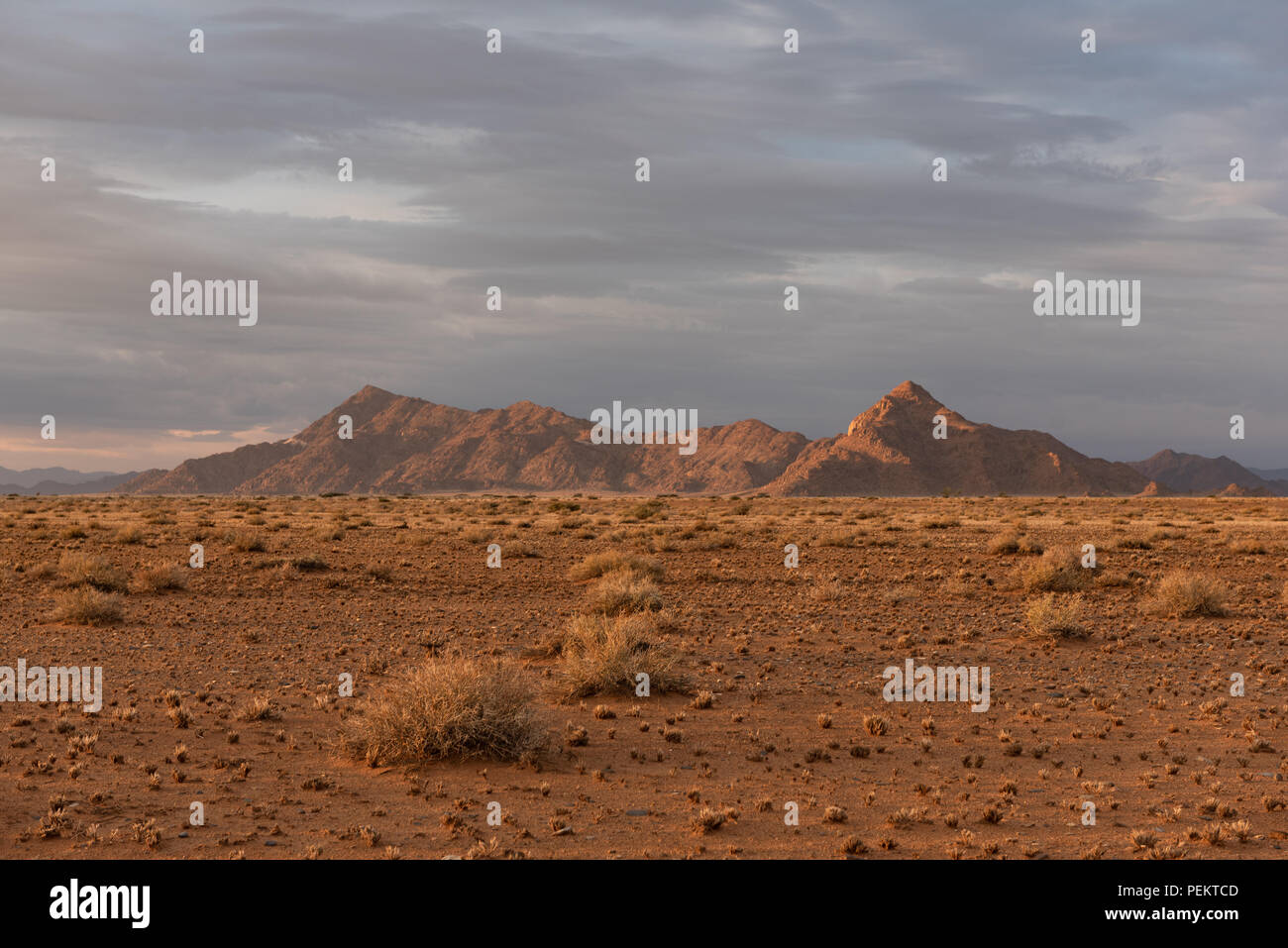 Tôt le matin, la lumière éclairant les montagnes et l'herbe dans la campagne du désert, Namibie Banque D'Images