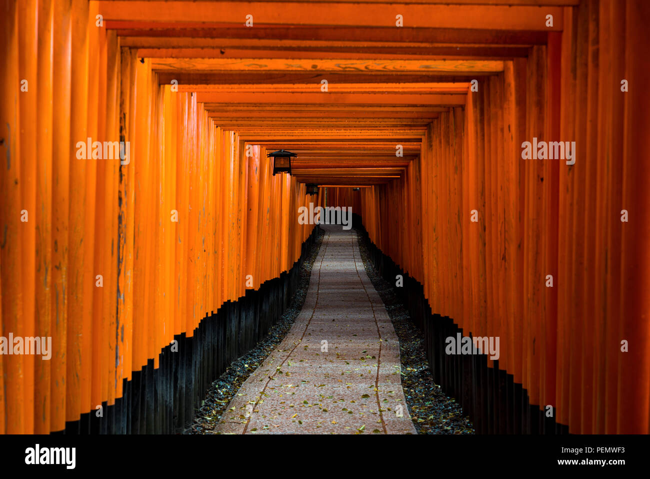 Tori rouge Gate au Sanctuaire Fushimi Inari à Kyoto, au Japon. Banque D'Images