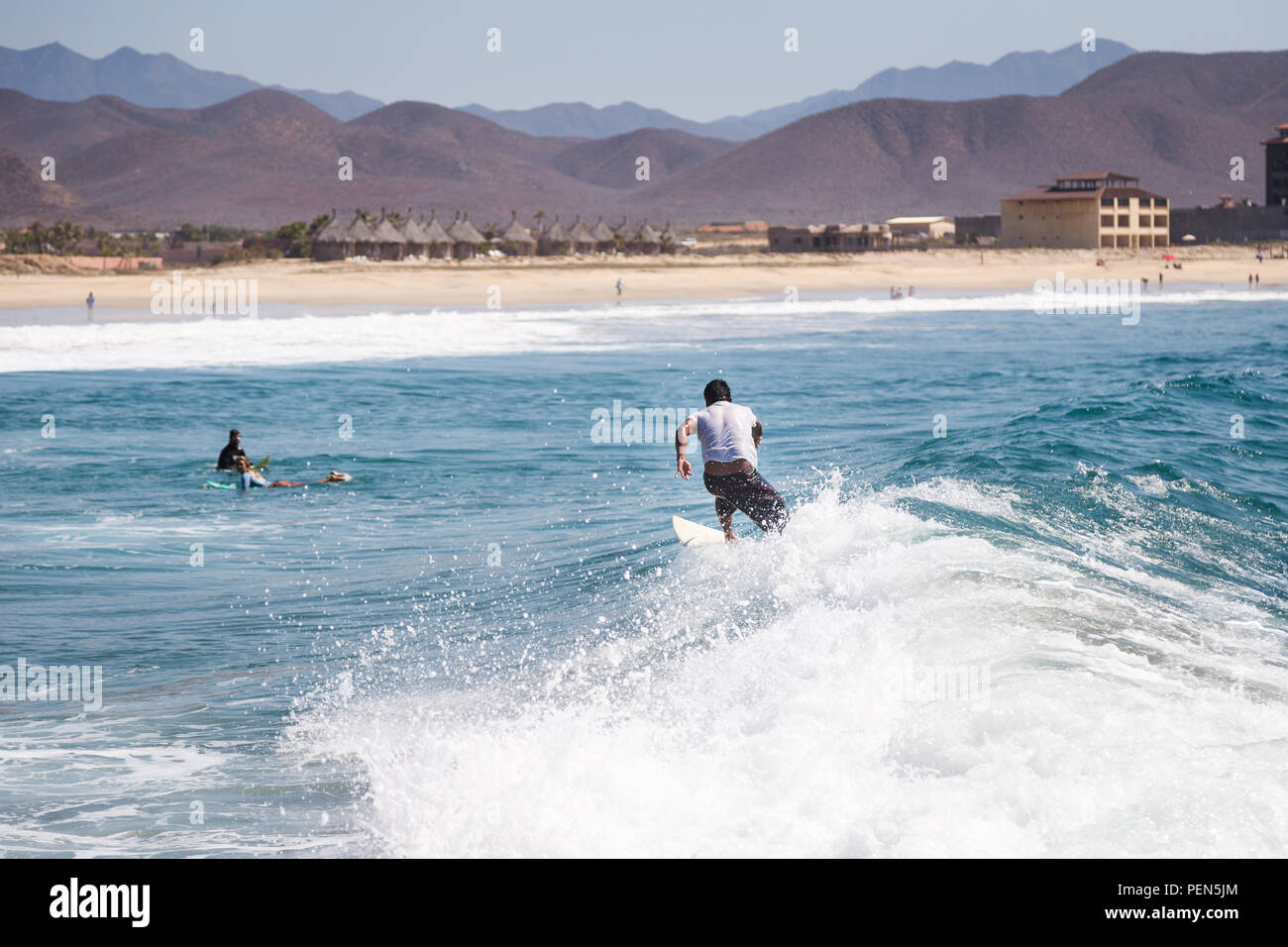 Surfer une vague avec la plage en arrière-plan. Banque D'Images