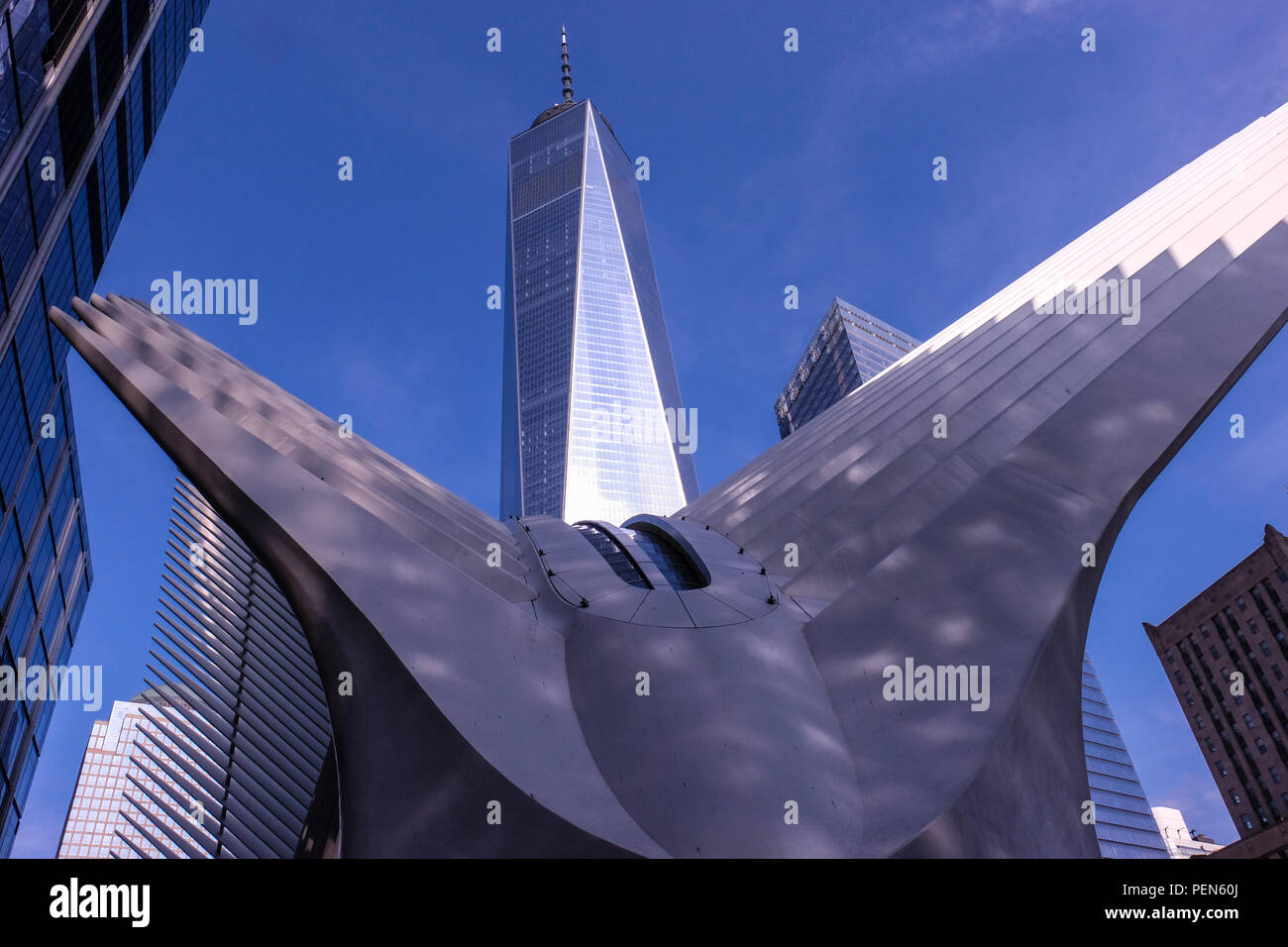Vue rapprochée de la One World Trade Center, à Manhattan, New York, avec le ciel bleu en arrière-plan Banque D'Images