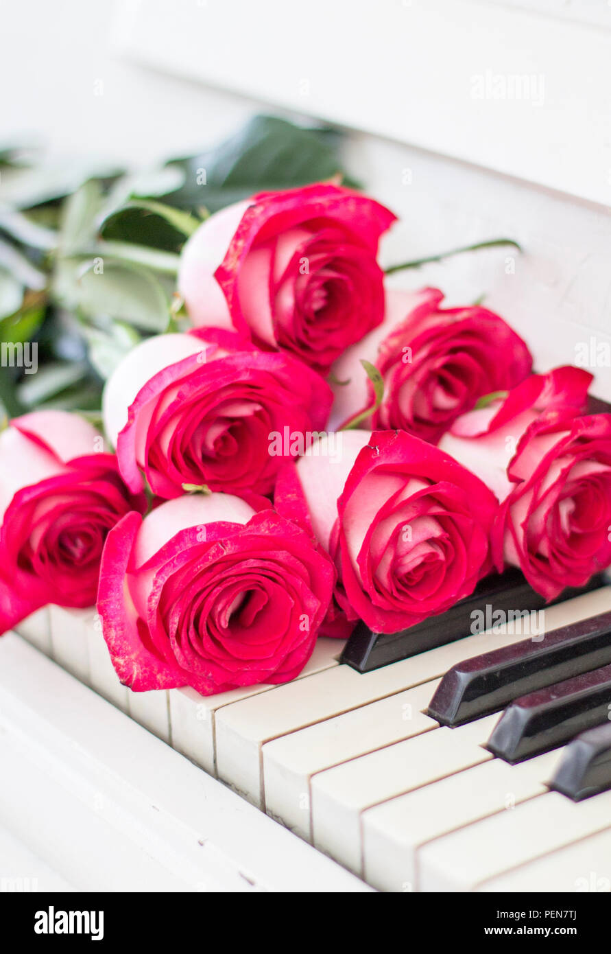 Roses rouges de luxe sur un piano. Bouquet de roses rouges et des touches de piano Banque D'Images