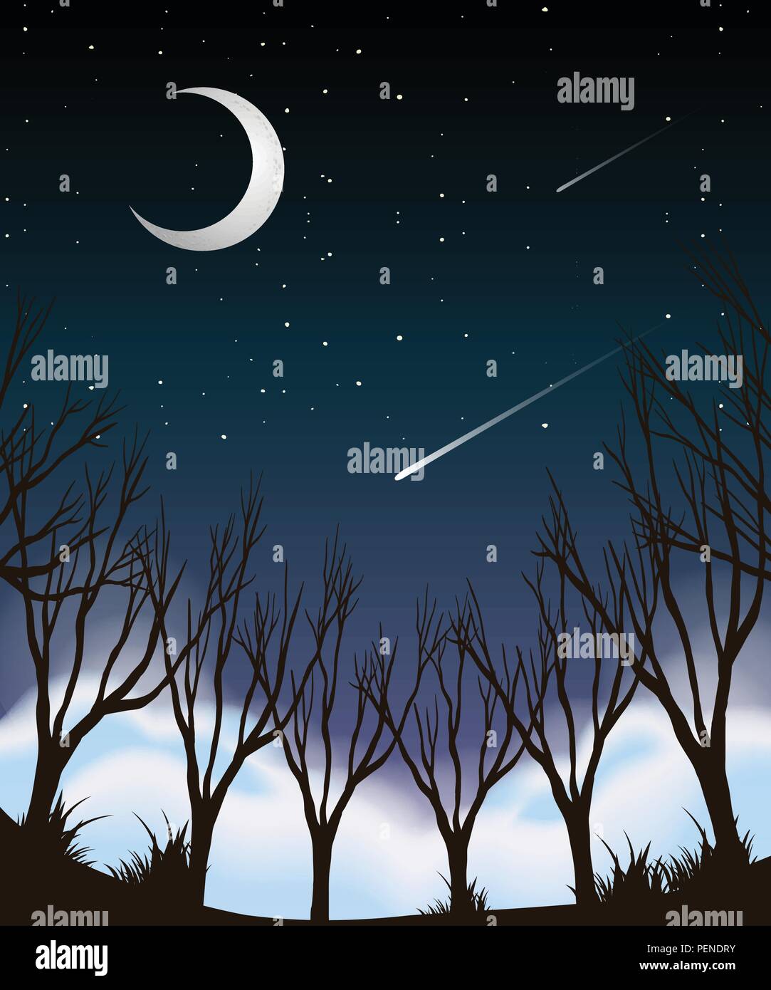 Ciel nocturne scène forêt illustration Illustration de Vecteur