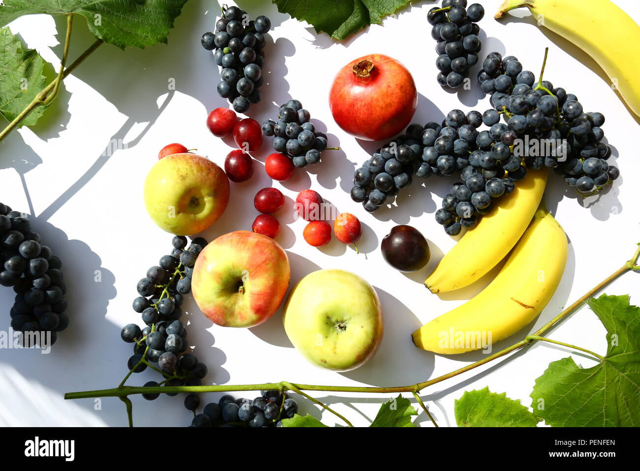 L'alimentation : le raisin, les pommes, les prunes et les bananes Banque D'Images