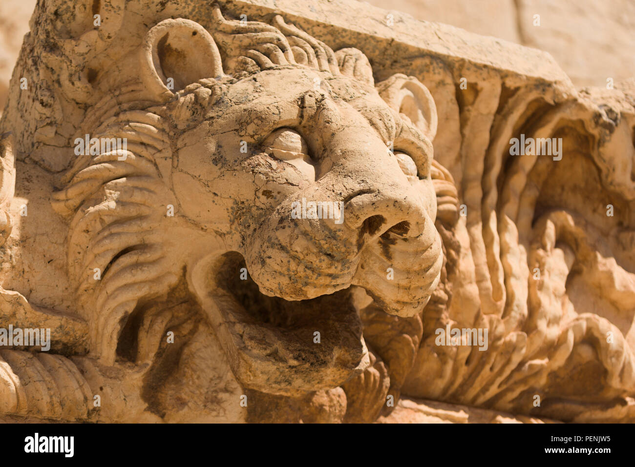 Tête de lion sculpté sur un capital supérieur dans l'ancien temple romain de Jupiter, Baalbec site du patrimoine mondial, le Liban. Banque D'Images