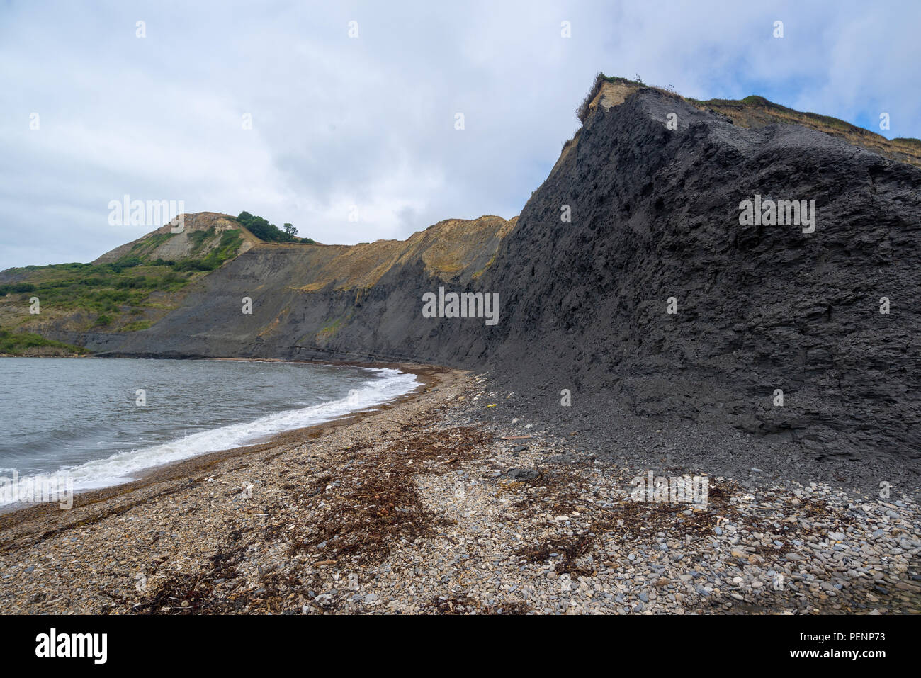 Plage sauvage à Chapman's Pool, Côte Jurassique, Purbeck, Dorset, England, UK avec le black rock cliffs. Banque D'Images
