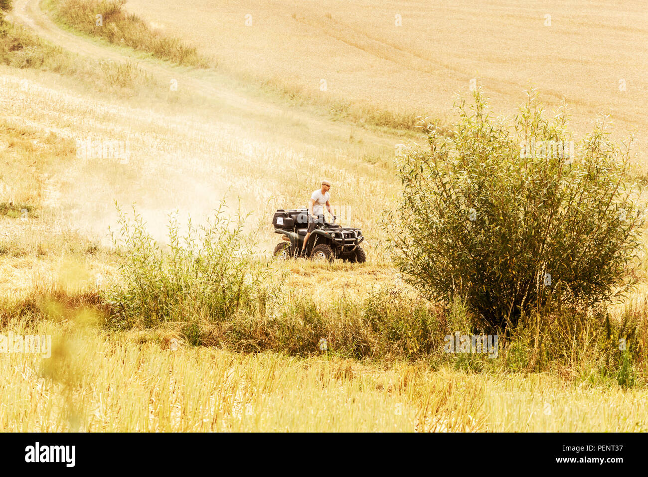 Un pilote sur un quad sans casque dans le pays Banque D'Images