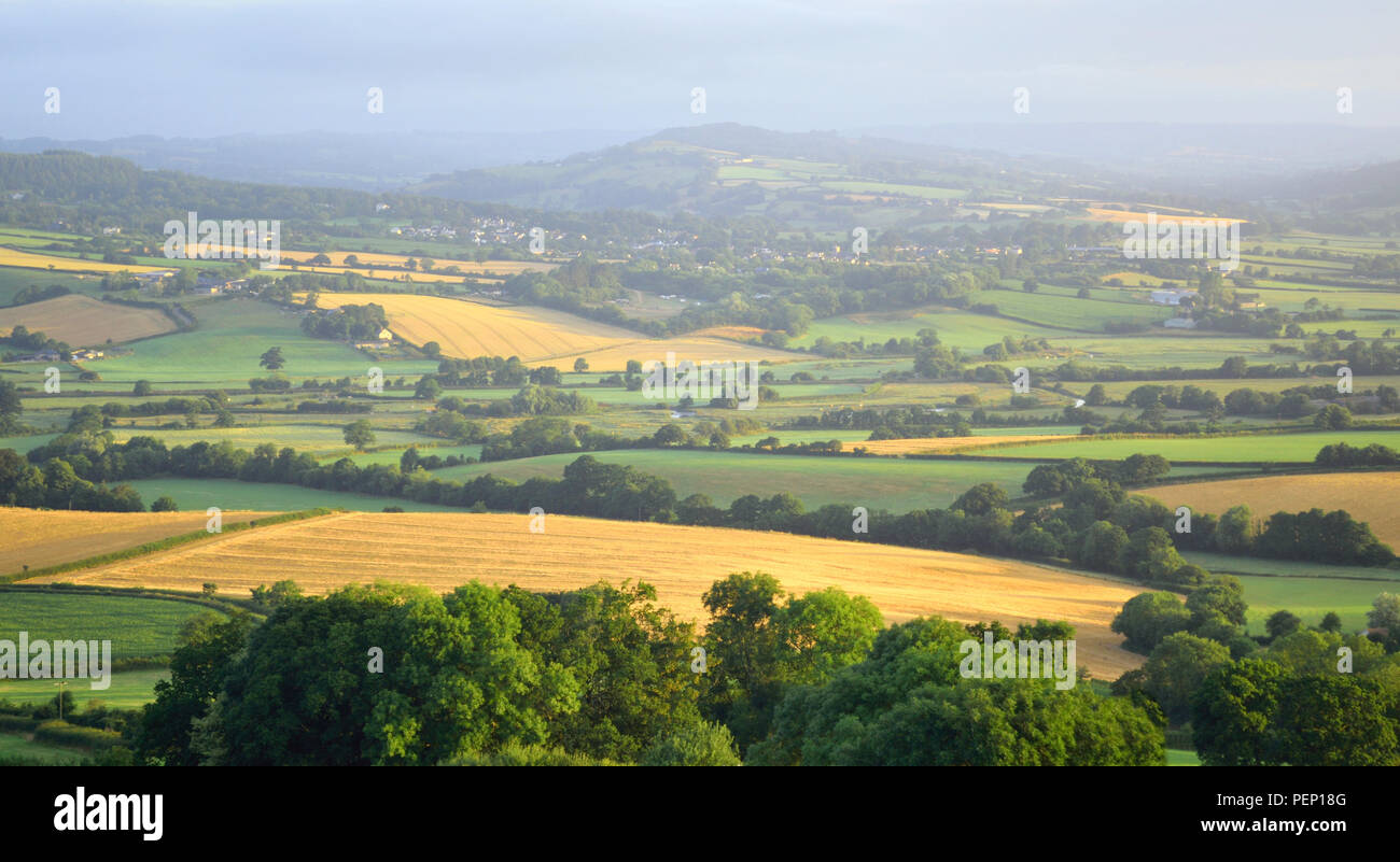 Vue panoramique sur la vallée d'Ax dans l'est du Devon AONB (Région de beauté naturelle exceptionnelle) Banque D'Images