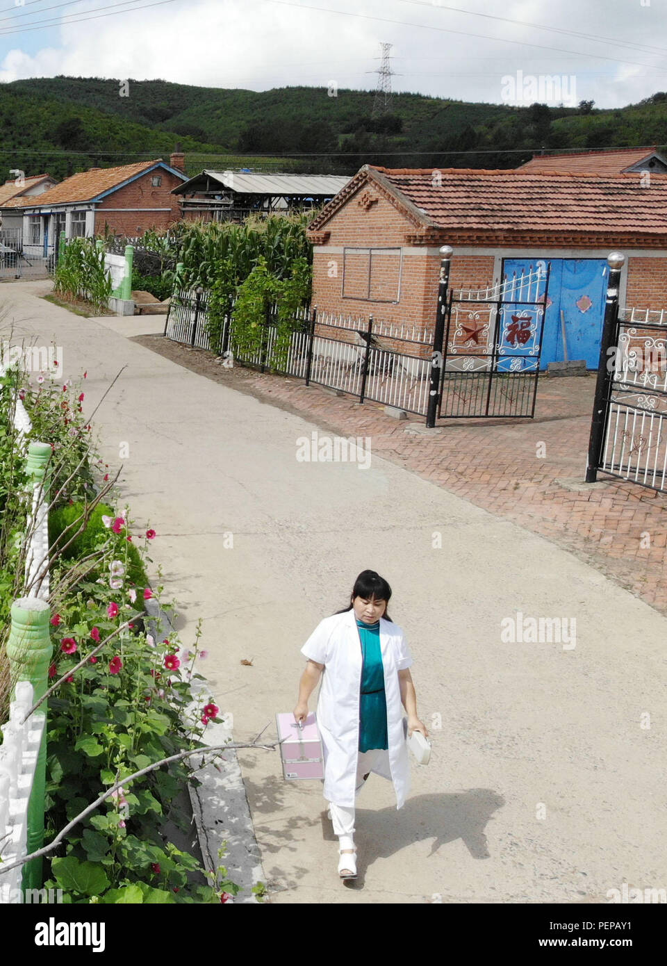 Changchun, Jilin Province de la Chine. 9 Août, 2018. Yue Mrs. Yanwei promenades pour visiter un patient en ville Gangyao Qixin, village, ville de Jilin, au nord-est de la province de Jilin, Chine 9 Août, 2018. Yue, 40 ans, a été le médecin de village Qixin pendant 17 ans depuis sa sortie de l'école de médecine en 2001. Yue est le seul médecin dans où vivent environ 646 Daduhe, 1 070 villageois. Dans l'avis de Yue, tout le monde en santé, donc elle a choisi de s'en tenir à son poste et a pris soin des villageois. Credit : Lin Hong/Xinhua/Alamy Live News Banque D'Images