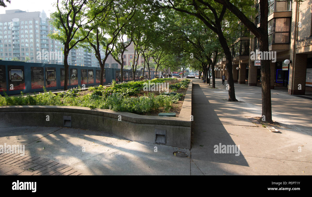 Market Lane Park Toronto, prises lors de la marche à la maison du travail sur la fin de l'après-midi d'août alors que les rayons du soleil illuminait le trottoir Banque D'Images