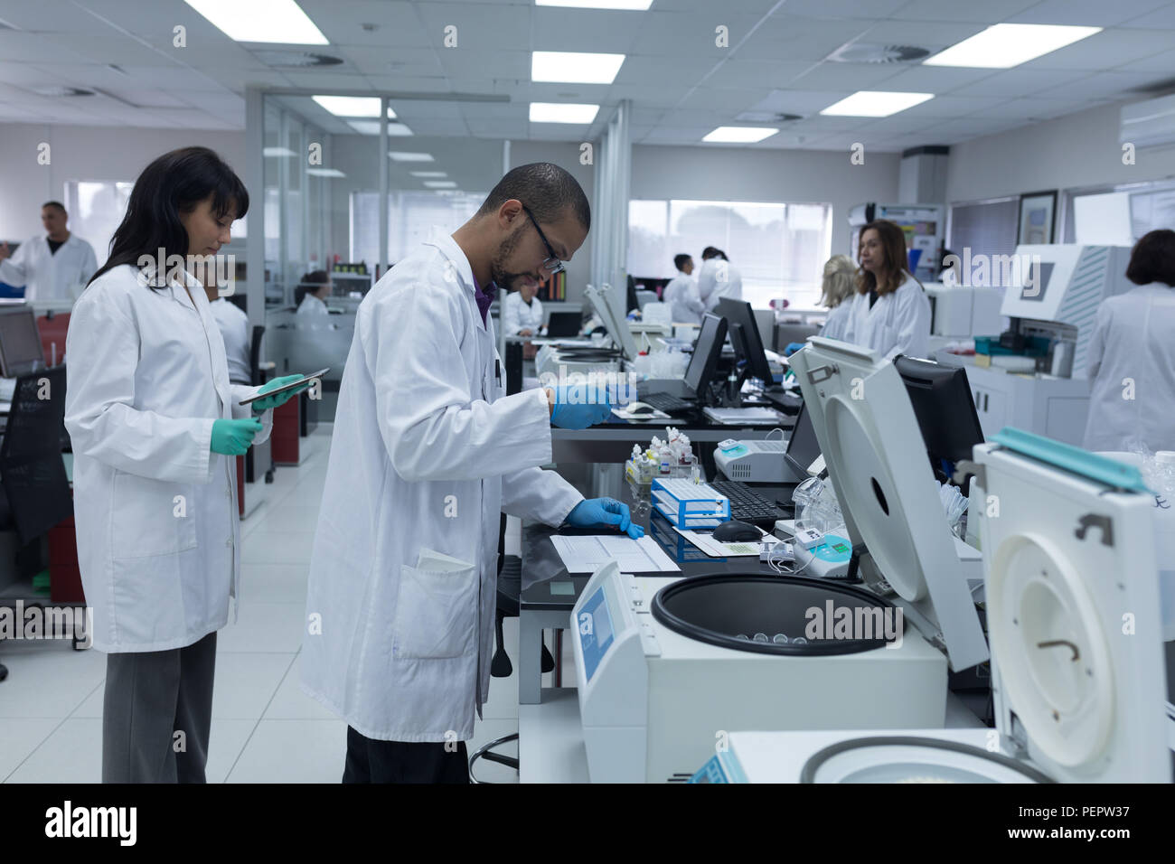 Équipe de techniciens de laboratoire qui travaillent dans la banque de sang Banque D'Images Équipe de techniciens de laboratoire qui travaillent dans la banque de sang Banque D'Images