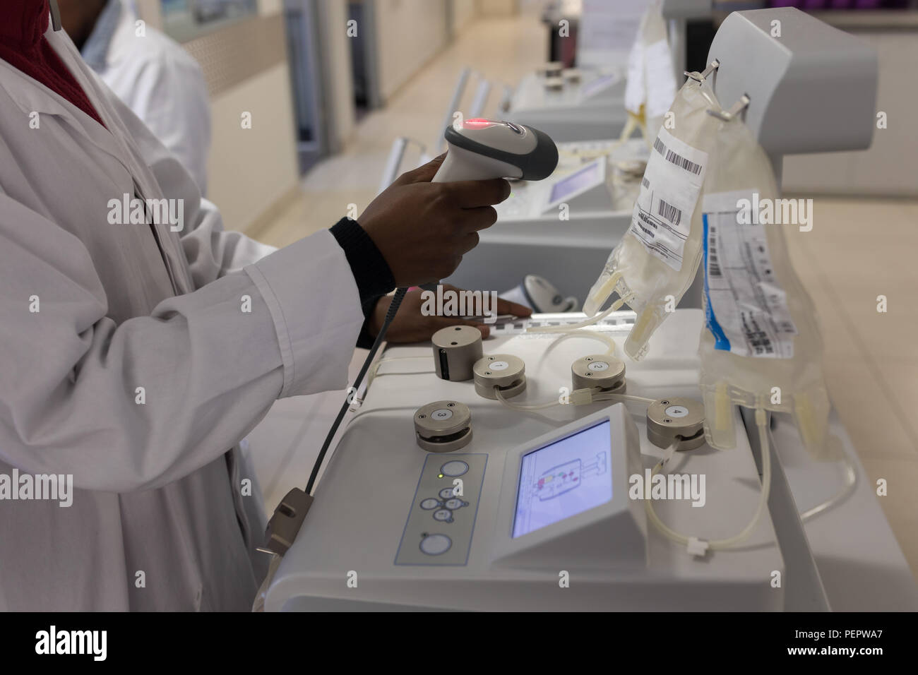 Technicien de laboratoire code barre de numérisation de poches de plasma Banque D'Images Technicien de laboratoire code barre de numérisation de poches de plasma Banque D'Images