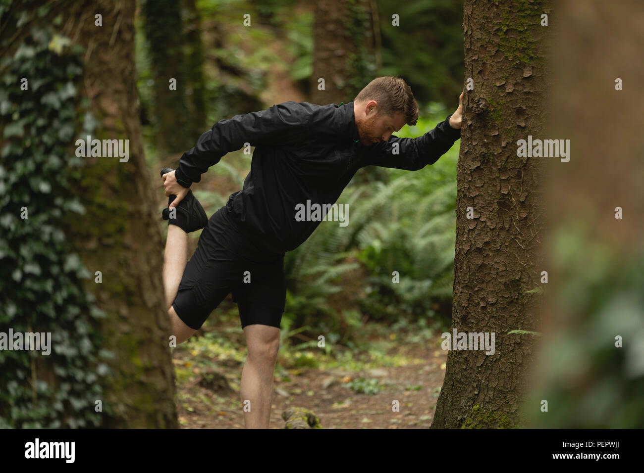 Man doing stretching in forest Banque D'Images Man doing stretching in forest Banque D'Images