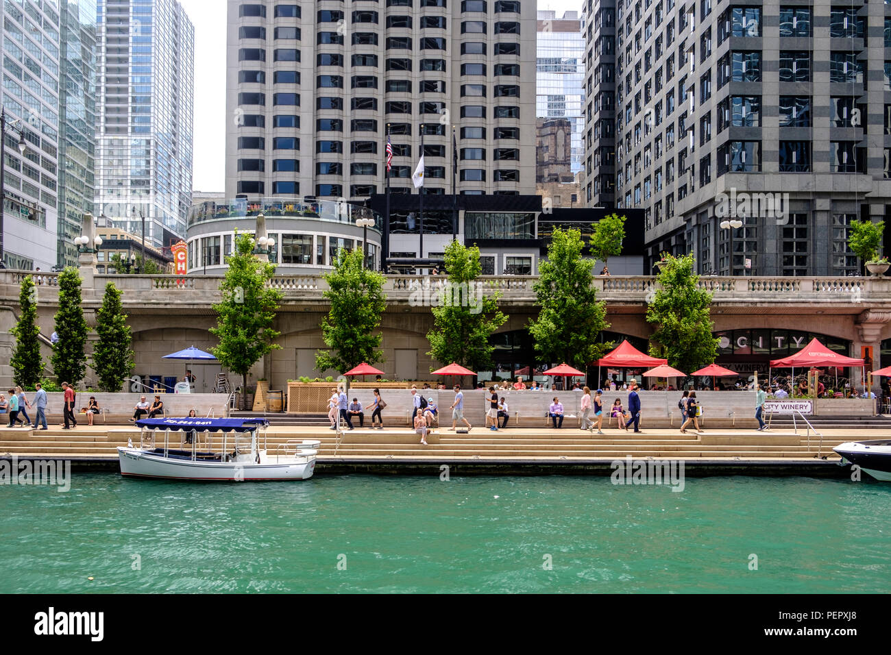 Rivière de Chicago avec le Riverwalk et entourant le centre-ville de l'architecture en été, Chicago, Illinois, États-Unis Banque D'Images