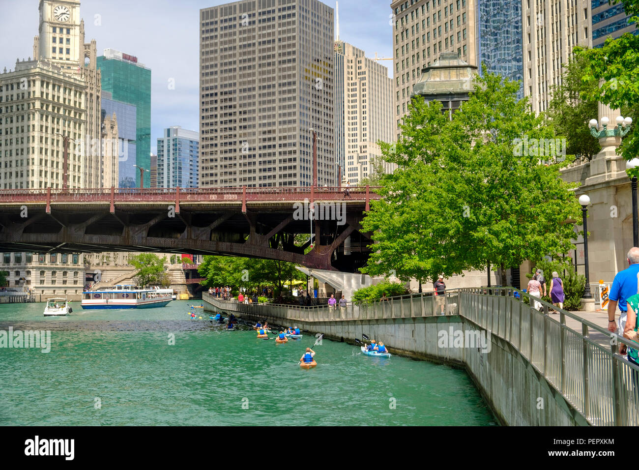 La rivière Chicago et croisière sur la rivière. kayaks et de Riverwalk et entourant le centre-ville de l'architecture en été, Chicago, Illinois, États-Unis Banque D'Images