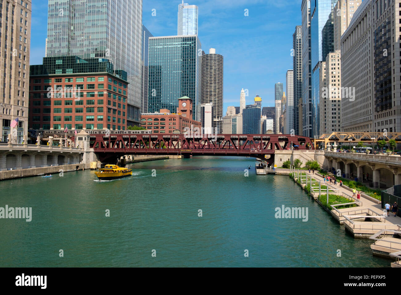 La rivière Chicago, le Riverwalk, kayaks et entourant le centre-ville de l'architecture en été, Chicago, Illinois, États-Unis Banque D'Images