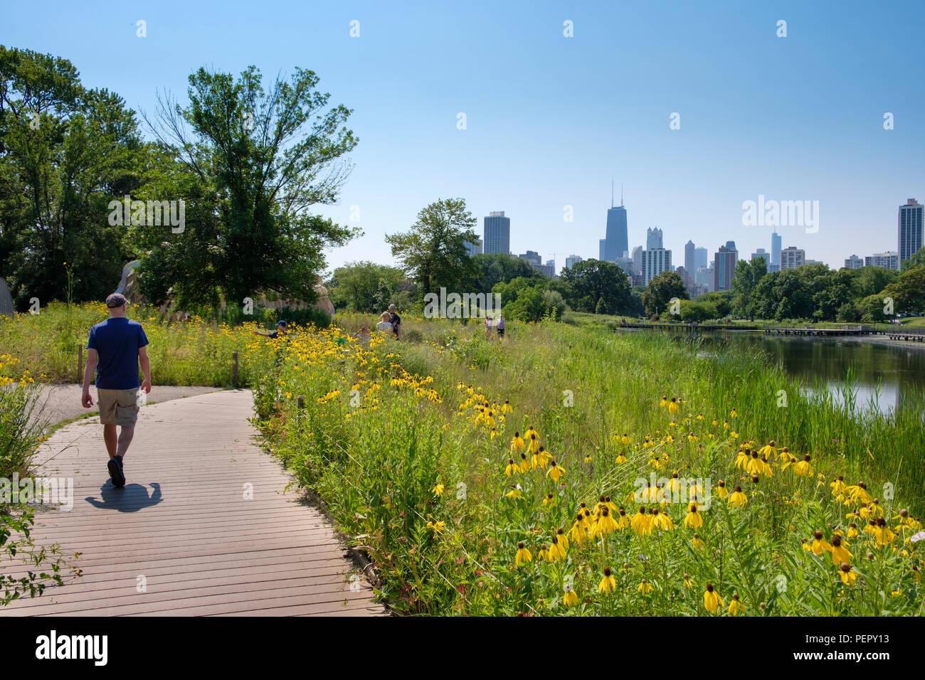Skyline et l'homme marche sur Boardwalk at Lincoln Park Zoo en été, Chicago, Illinois, États-Unis Banque D'Images
