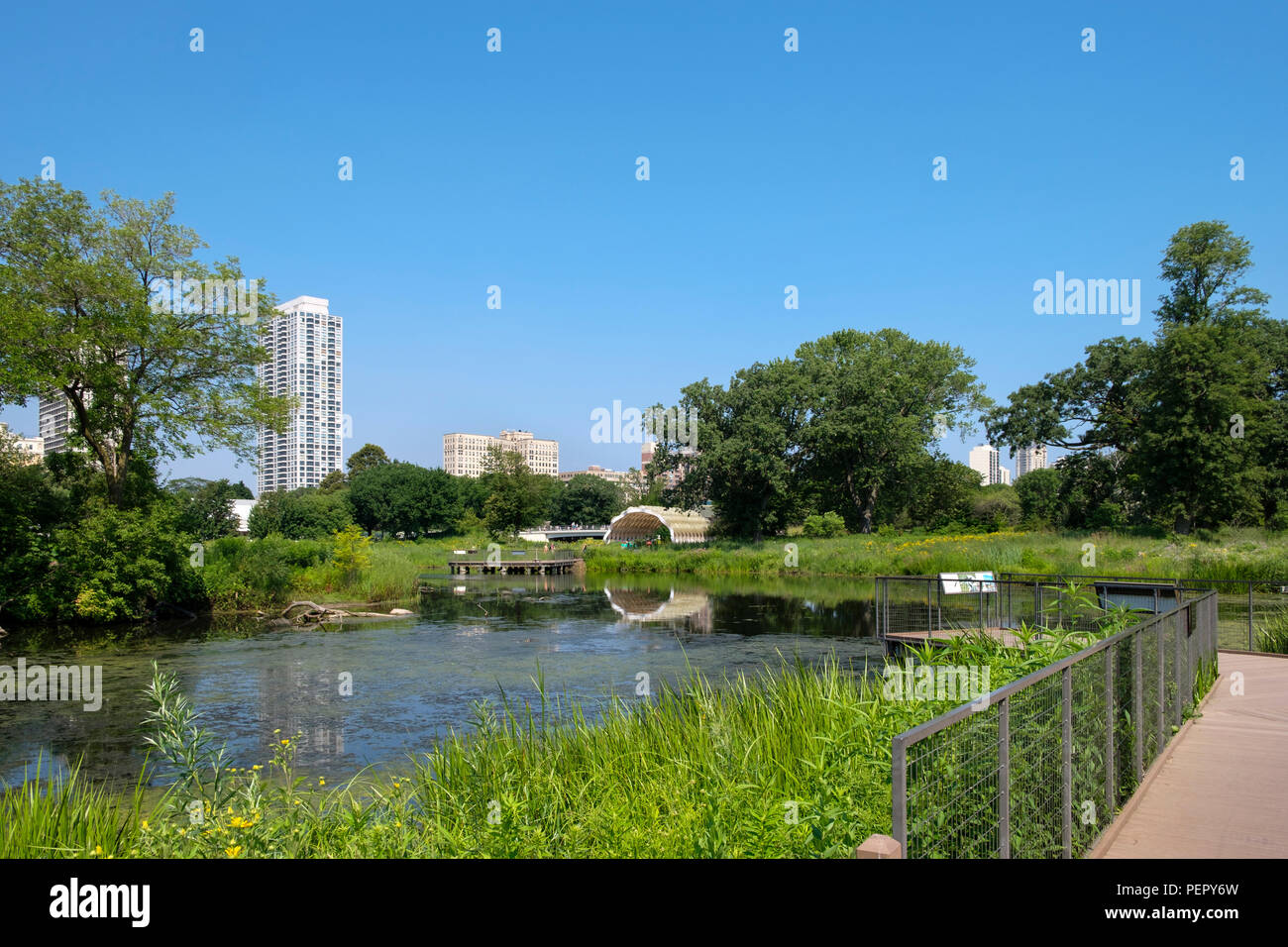 Promenade nature et d'horizon de l'été, Chicago, Illinois, États-Unis Banque D'Images